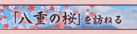 「八重の桜」訪ねる 新島八重のふるさと 会津